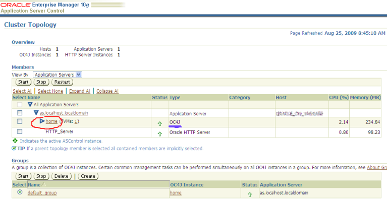 Oracle Enterprise Manager (oc4jadmin) - Cluster Topology_1251187606945